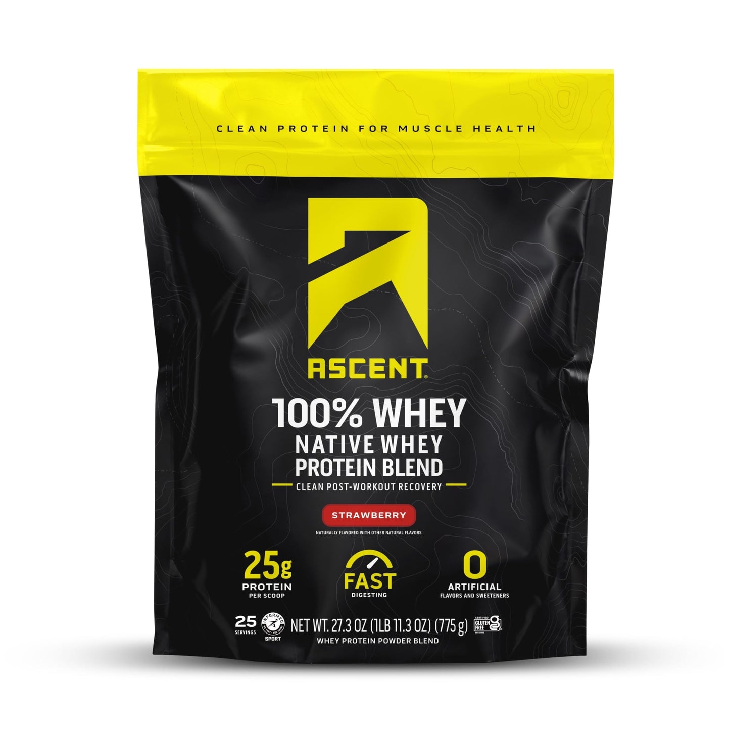 Ascent 100% Whey Protein Powder - Post Workout Whey Protein Isolate, Zero Artificial Flavors & Sweeteners, Soy & Gluten Free, 5.5g BCAA, 2.6g Leucine, Essential Amino Acids, Vanilla Bean 2 lb