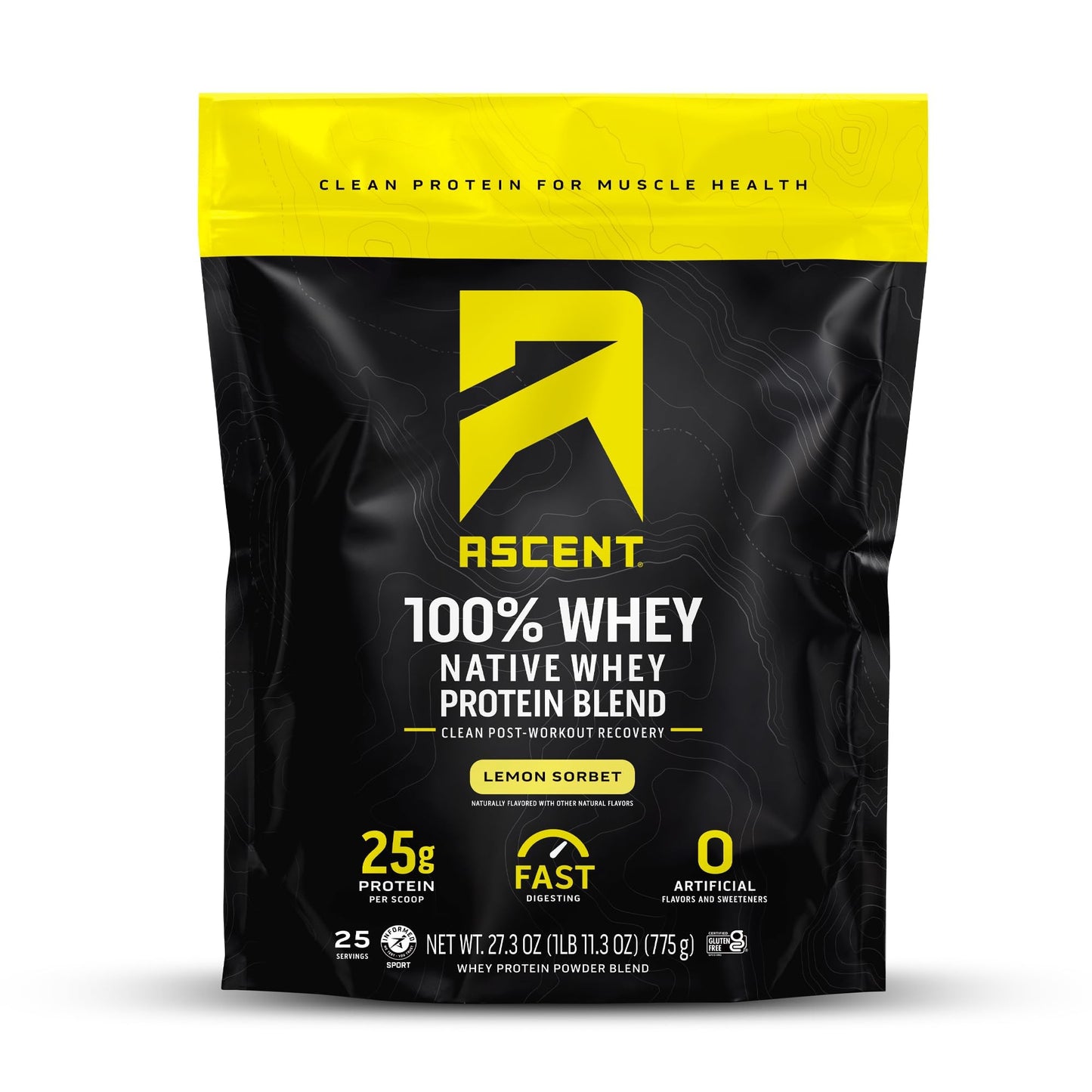 Ascent 100% Whey Protein Powder - Post Workout Whey Protein Isolate, Zero Artificial Flavors & Sweeteners, Soy & Gluten Free, 5.5g BCAA, 2.6g Leucine, Essential Amino Acids, Vanilla Bean 2 lb