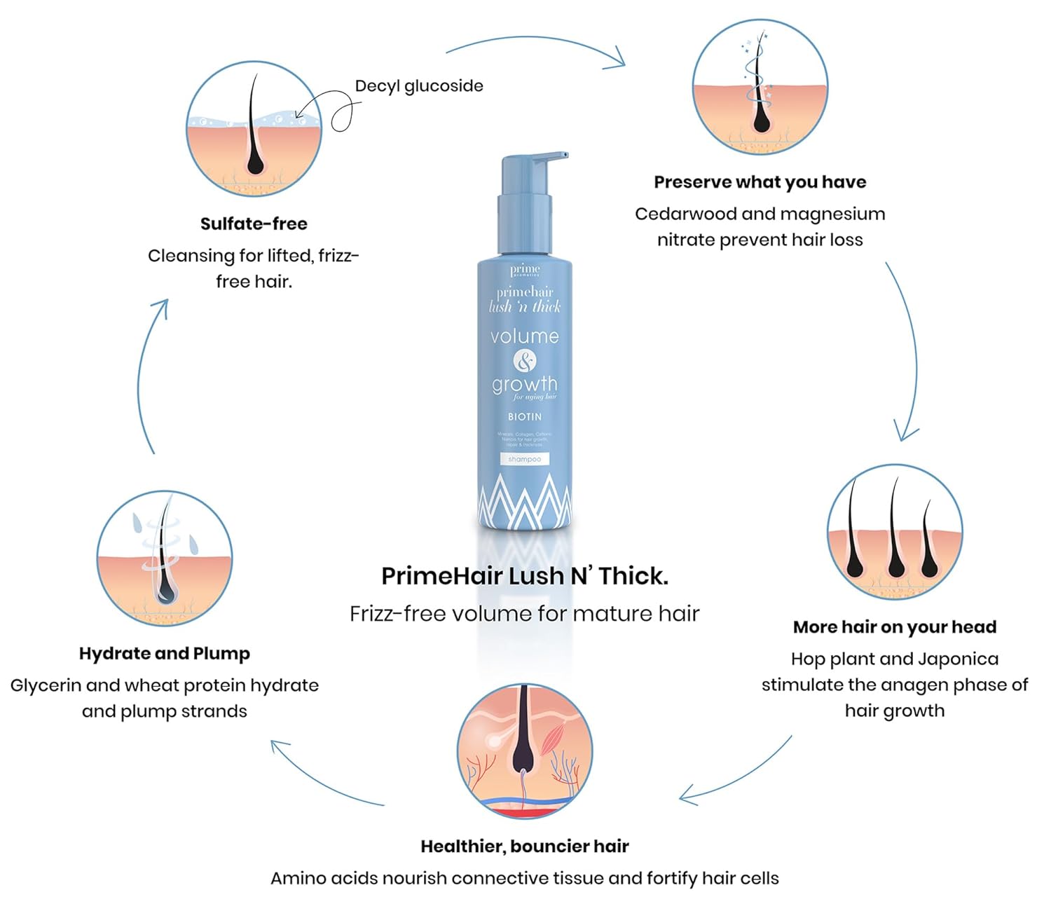 PRIME PROMETICS PrimeHair Lush N' Thick Shampoo for Mature Women – Biotin Enriched, Sulfate-Free and Paraben-Free Shampoo with Hair Growth Promoting Ingredients – Volumizing, Hydrating